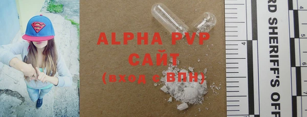 шишки Белокуриха