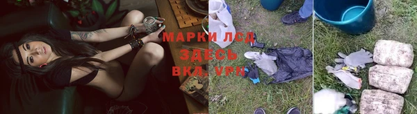 шишки Белокуриха