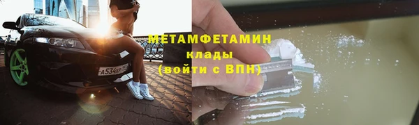 шишки Белокуриха