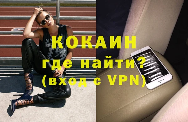 шишки Белокуриха