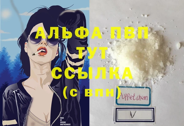 шишки Белокуриха