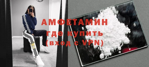 шишки Белокуриха