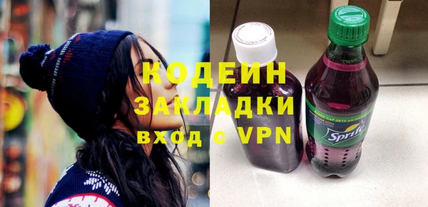 шишки Белокуриха