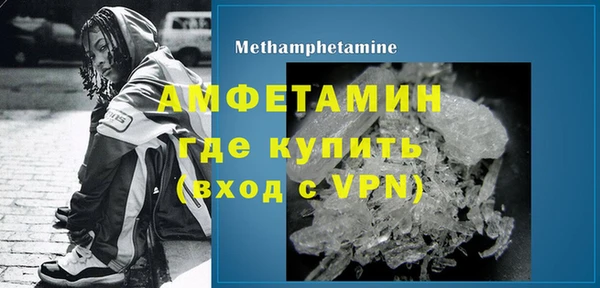шишки Белокуриха