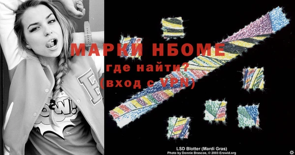 шишки Белокуриха
